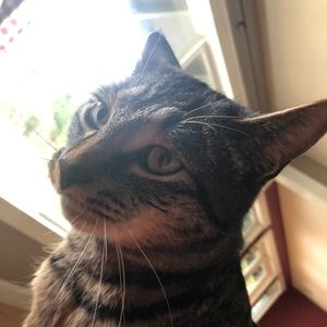 Meet your Posher, Grace